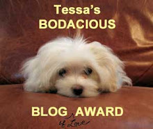 TESSA'S BODACIOUS BLOG AWARD