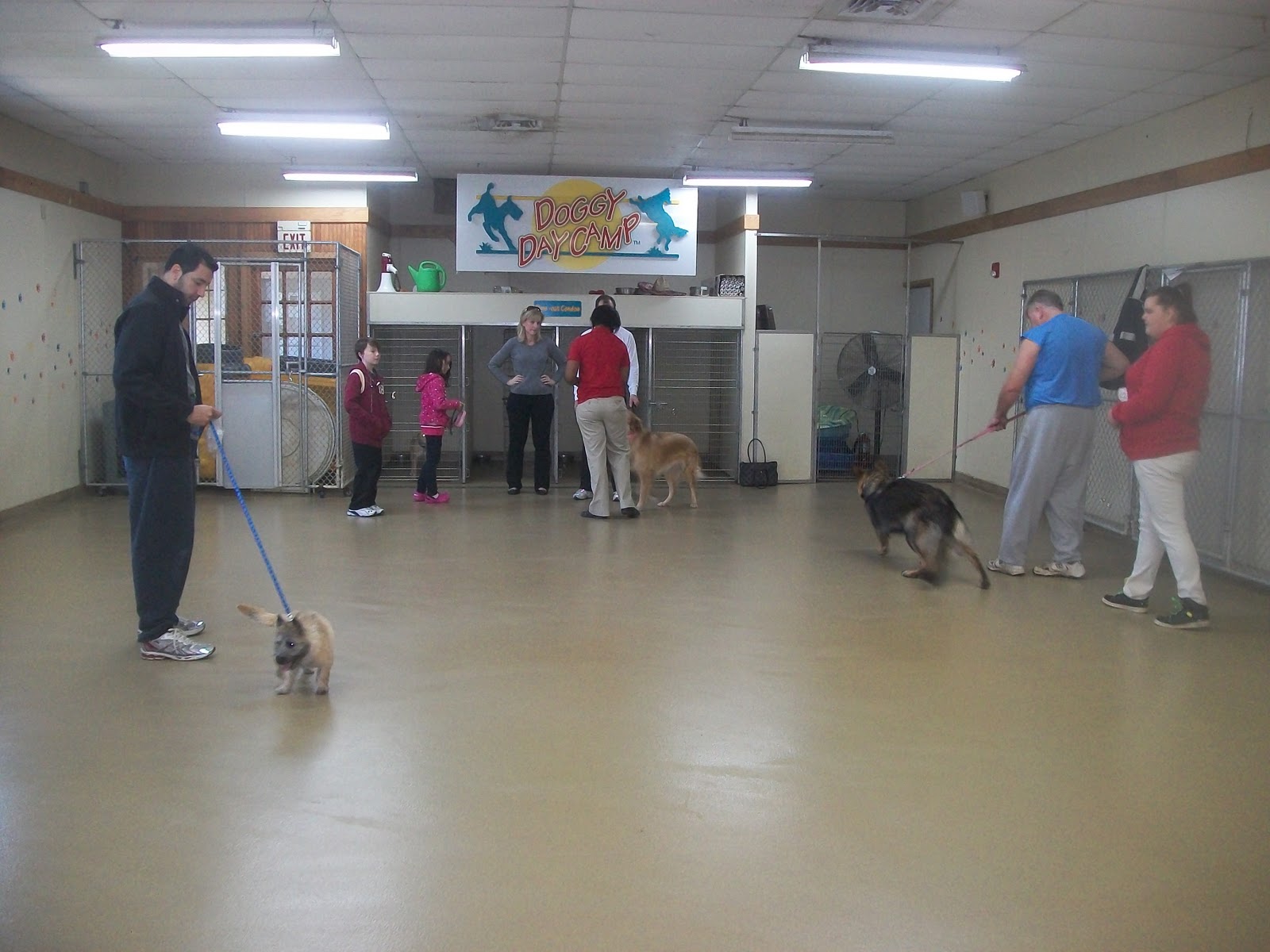 Best Friends Gaithersburg