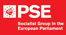 THE SOCIALIST GROUP IN THE EUROPEAN PARLIAMENT