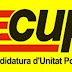 Comunicat sobre les consultes sobre la Independència, el PSUC-Viu i el projecte de la III Republica espanyola