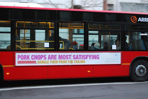 [bus(3).jpg]