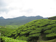 Munnar