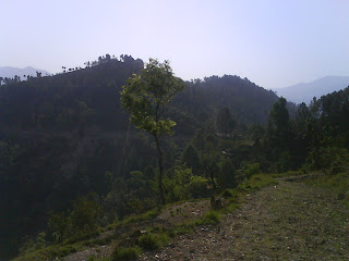 Jhindhi Dhaiyan(Near Village Chandoli Malli)