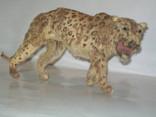 Crappy Taxidermy of the Day Seen On www.coolpicturegallery.net