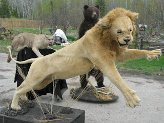 Crappy Taxidermy of the Day Seen On www.coolpicturegallery.net