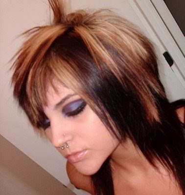 hairstyle ideas pictures. There are many ideas that stylists have had for the 2009 bob hairstyle, 