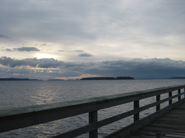 View From Sidney Fishing Pier