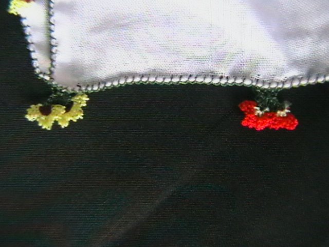 [IMGA0235.JPG]