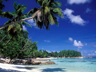 world best collections of photos and wallpapers: Seychelles wallpapers