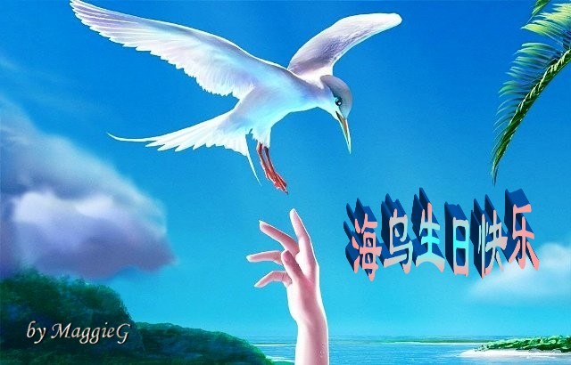 seabird