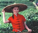tea girl