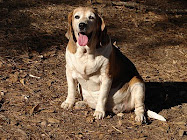 Miss Snoopy went to the Rainbow Bridge 12/21/2010