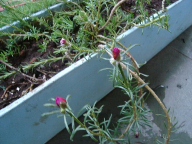 [DSC03144.JPG]