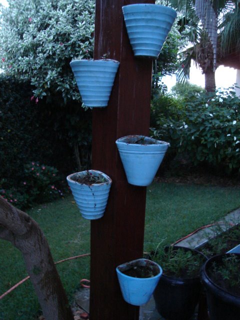 [DSC03097.JPG]
