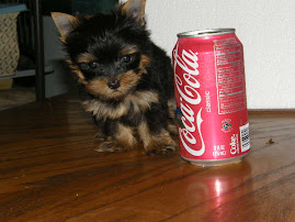 One of Prissy's Babies