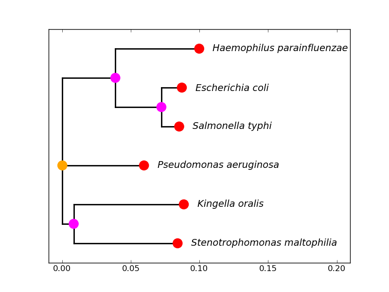 Python for Bioinformatics: New plotter for phylogenetic trees: plotting