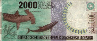 Billetes De Costa Rica Datos Prácticos Capítulo Final Viajeros Y Un Dolar Usa Equivale A Unos 558 Colones Sobre Estas Líneas Tenemos 1 000 Rojo Como Se Le Denomina Habitualmente