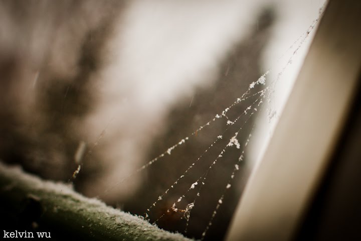 Sneeuw20102011-2.jpg