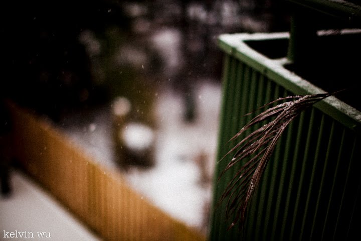 Sneeuw20102011.jpg