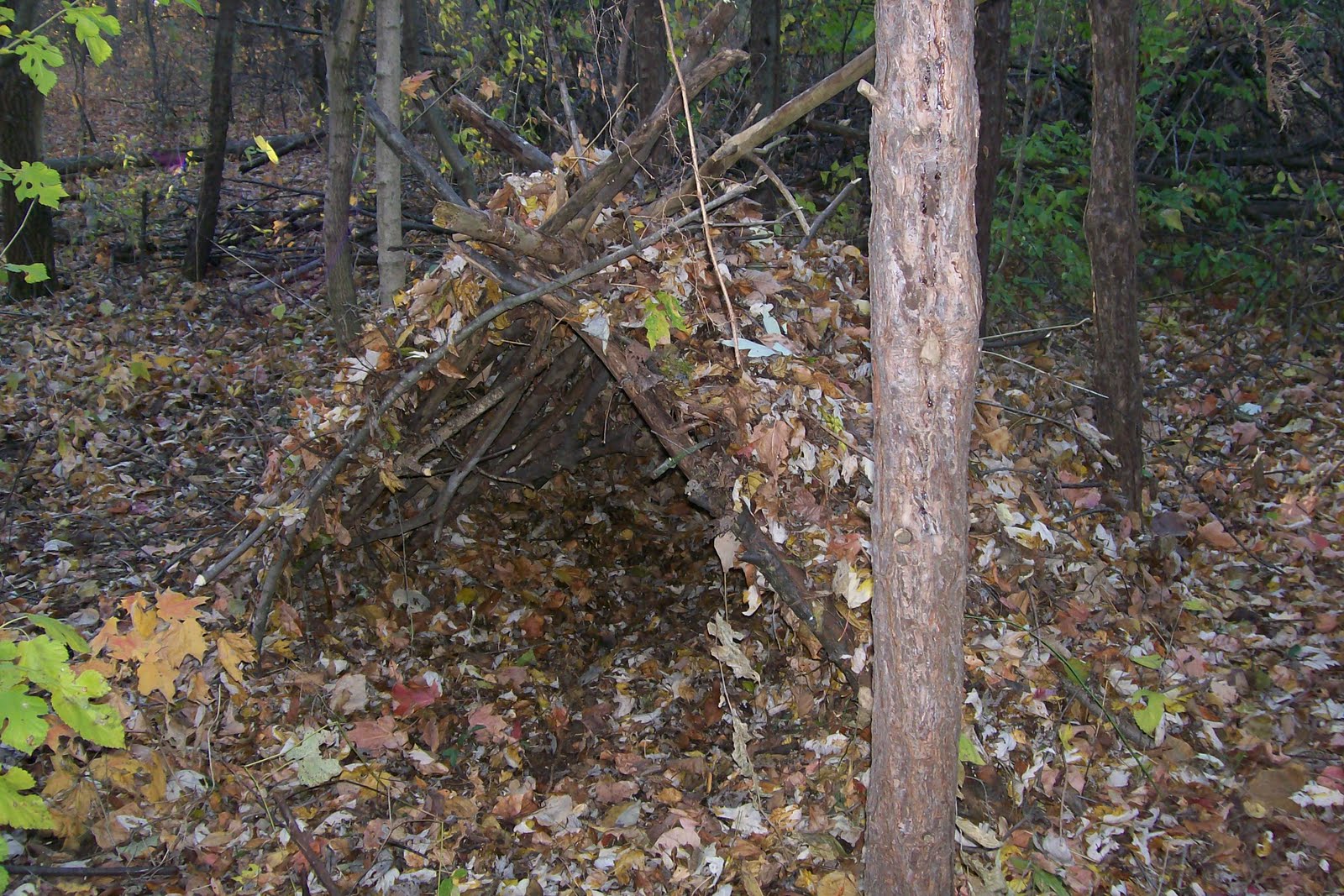 Bushcraft Plus Shelter Forest AFrame