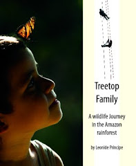 TREETOP FAMILY - A Wildlife Journey in the Amazon Rainforest (By Leonide Principe)