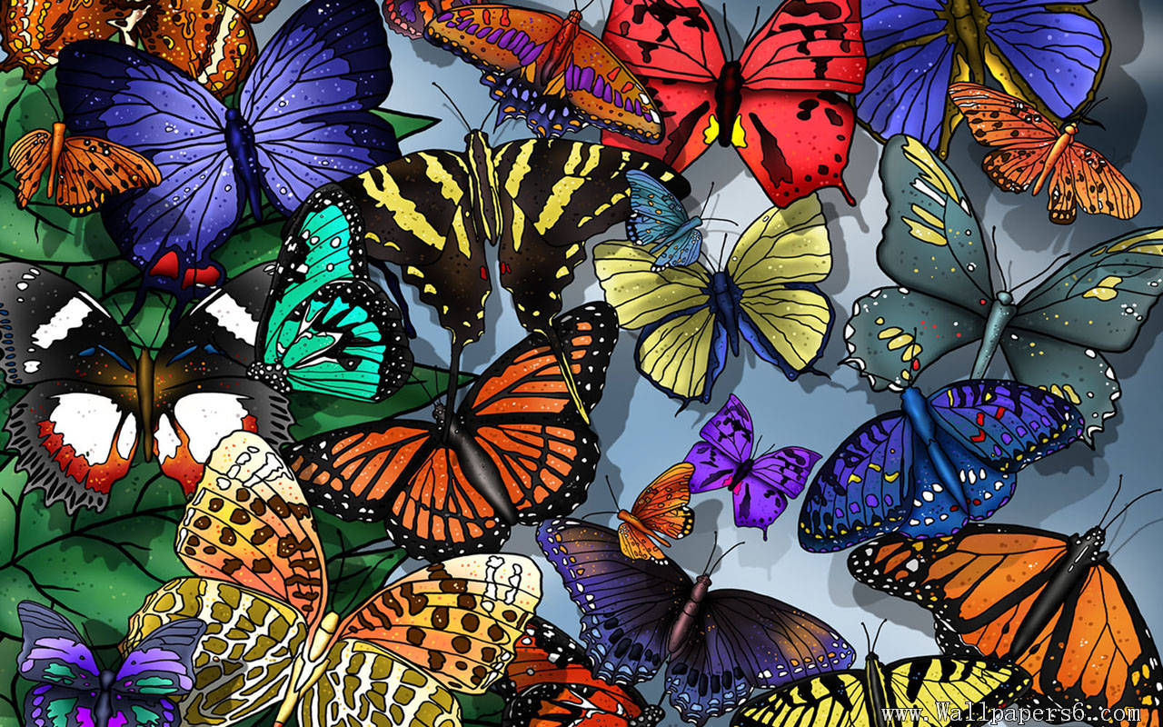 Painting Butterflies Wallpaper | Cool Wallpapers