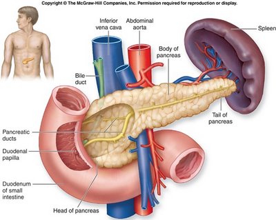 diabetes mellitus penyakit kencing manis malasia