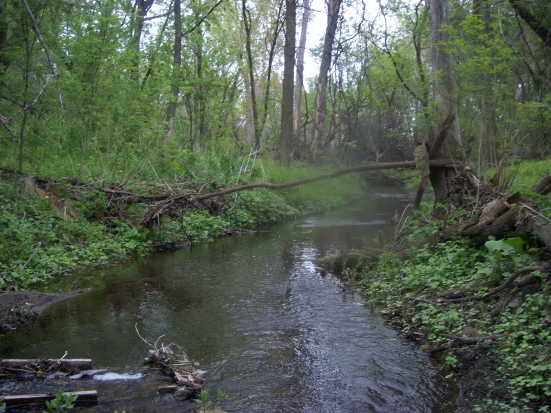 Bp Near Me >> all species fishing: small streams. Bp Near Me >> all species fishing: small streams.