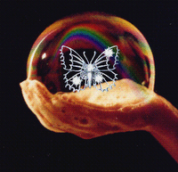 [tangbloggerlola.png]