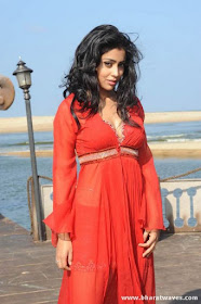 shriya bikini wallpaper