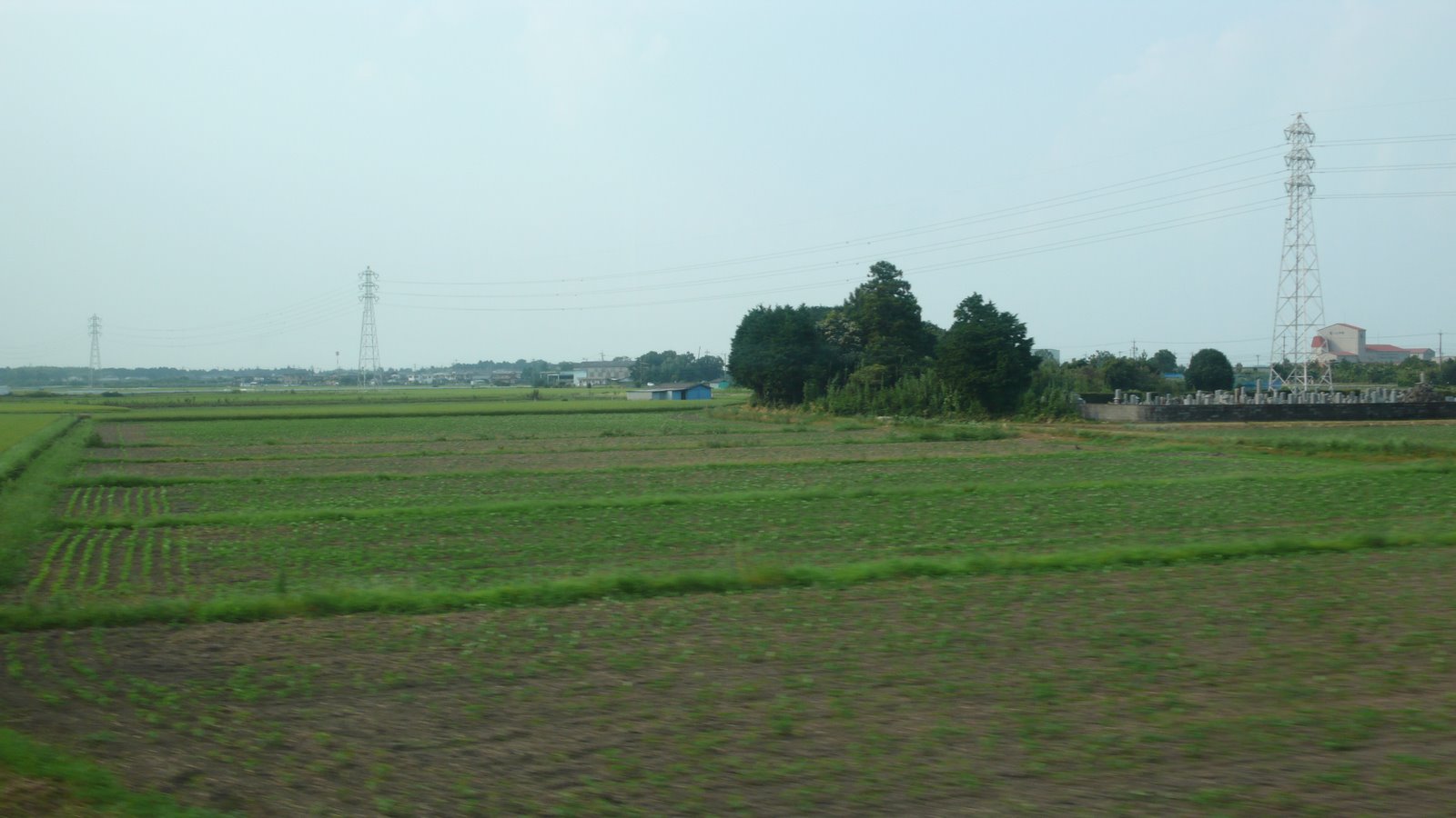 [L1010697.JPG]