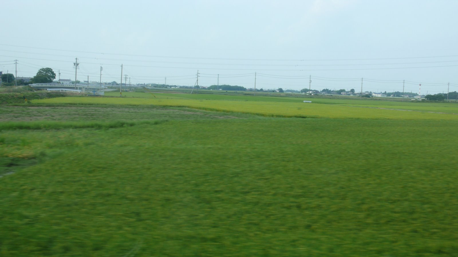 [L1010698.JPG]