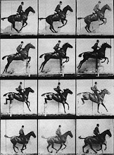 Eadweard Muybridge, Horse Jumping