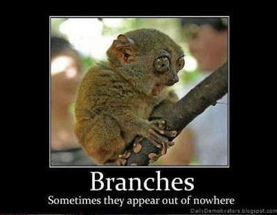 Branches Demotivational Posters