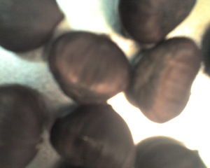 [Photo_011809_001.jpg]
