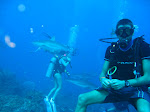Shark Dive 2/2