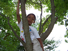 My Tree of Life