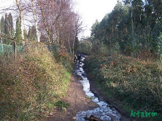 Sendero que bordea el perímetro del Campo de Golf