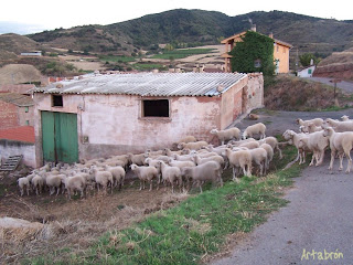 Ventosa: Calle Medio Derecha