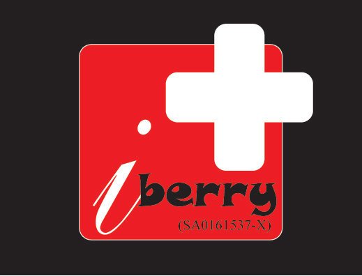 iberry enterprise