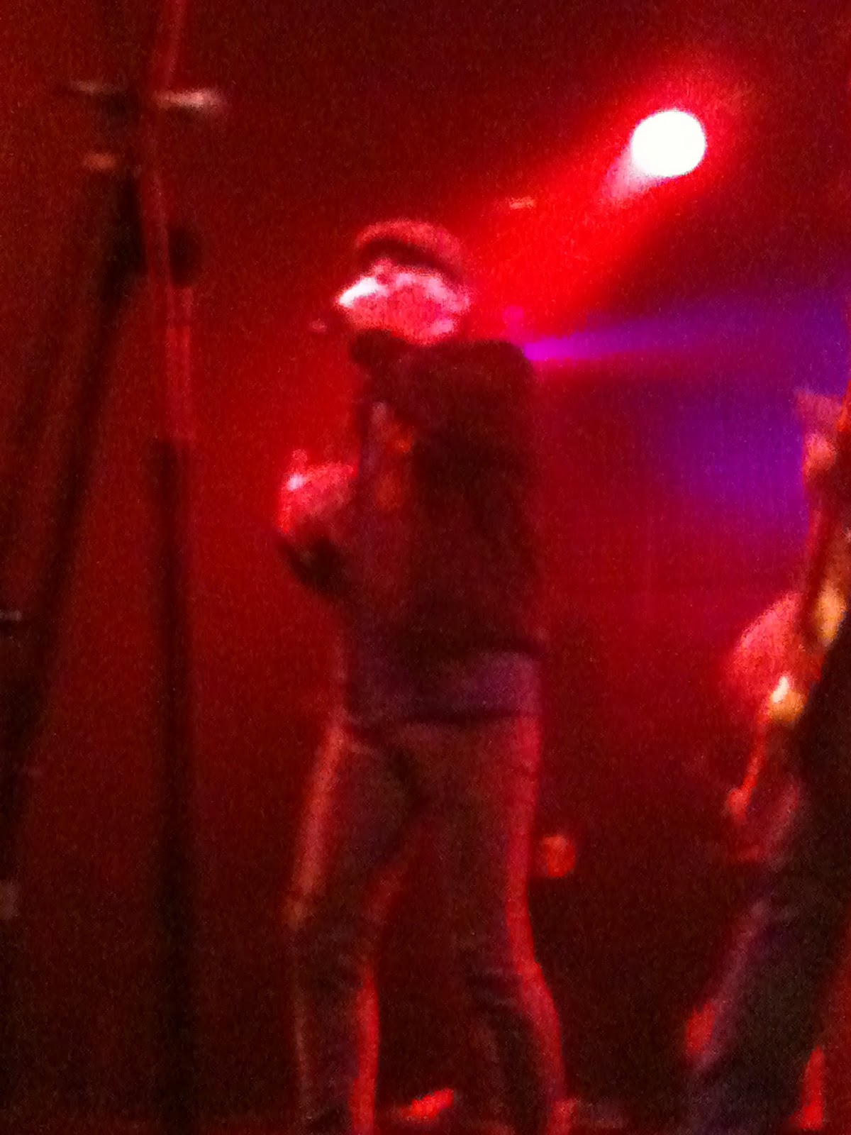 Punk Rock On Stage Street Dogs Live