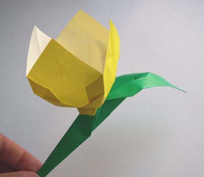[24-origami-tulip.jpg]