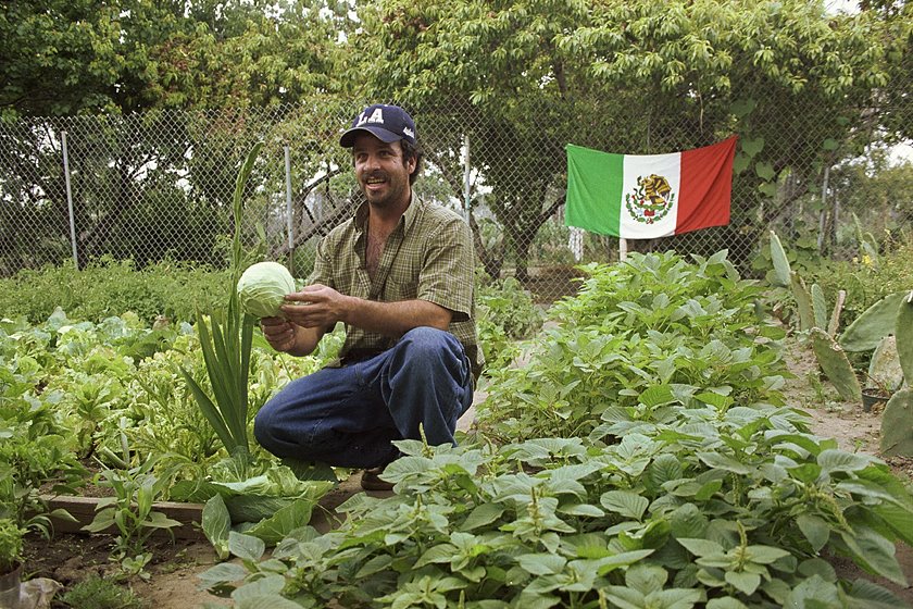 [8424-06_mexflg.jpg]