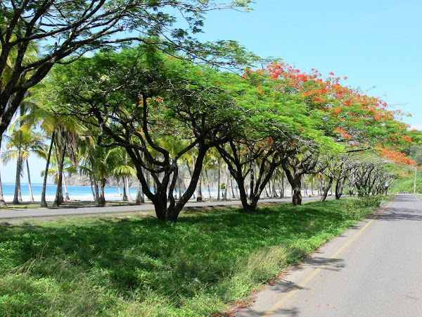 Cerca de la playa, Costa Rica