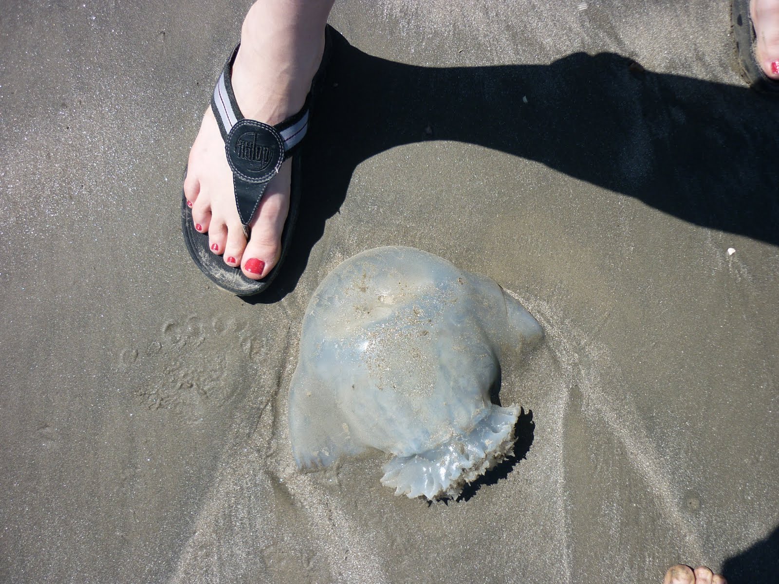 12813 Scenes from Galveston