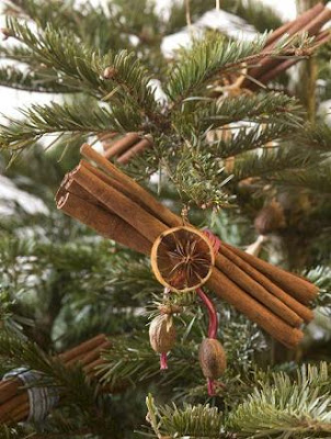 Arance Decorazioni Natalizie.Il Natale Delle Arance