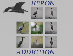 HERON ADDICTION
