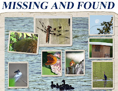 MISSING AND FOUND