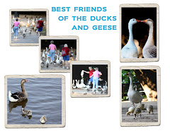 BEST FRIENDS OF THE DUCKS AND GEESE