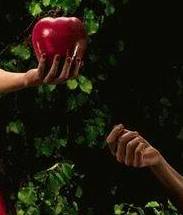 Hartford Catholic Biblical School: July 2010